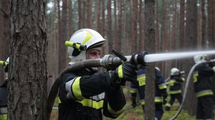 Lipno: Policjanci zatrzymali podpalacza lasów. 28-latek odpowie za serię pożarów ściółki