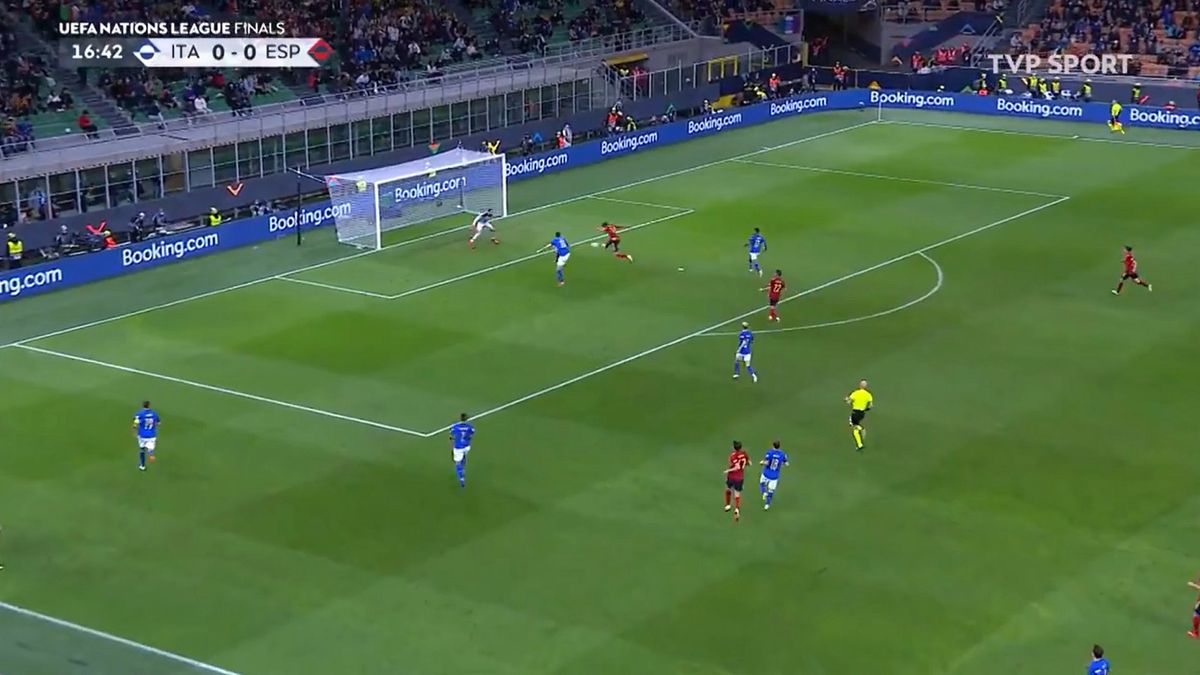 Twitter / TVP Sport / Na zdjęciu: gol dla Hiszpanii 