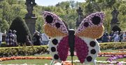 Wałbrzych: Tauron Festiwal Kwiatów i Sztuki w Zamku Książ