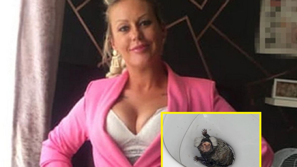 Kobieta została oskarżona o znęcanie się nad małą małpką.