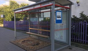 Takie przystanki są może wygodne dla ludzi, ale dla ptaków - niekoniecznie