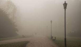 Gęste mgły od rana w Polsce