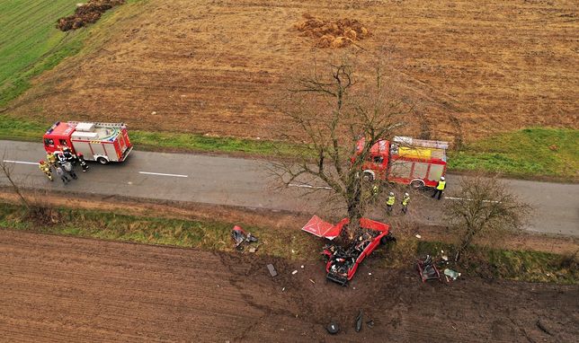 BMW wjechało w drzewo. Policja bada sprawę