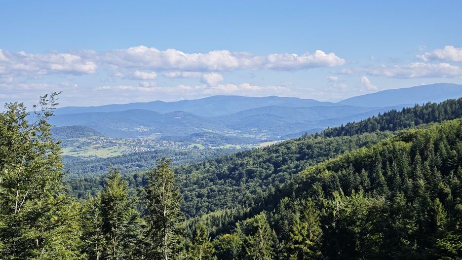 fot. Sławomir Bromboszcz / Polska Press