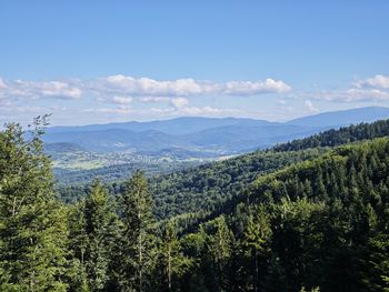 Beskidy: Dobre warunki na szlakach - mimo tego trzeba uważać
