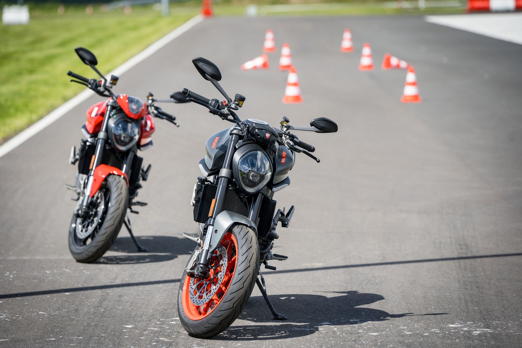 Ducati Monster