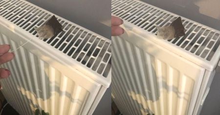 Nie wyrzucaj torebek herbaty. Połóż na kaloryferze, a szybko poczujesz efekty