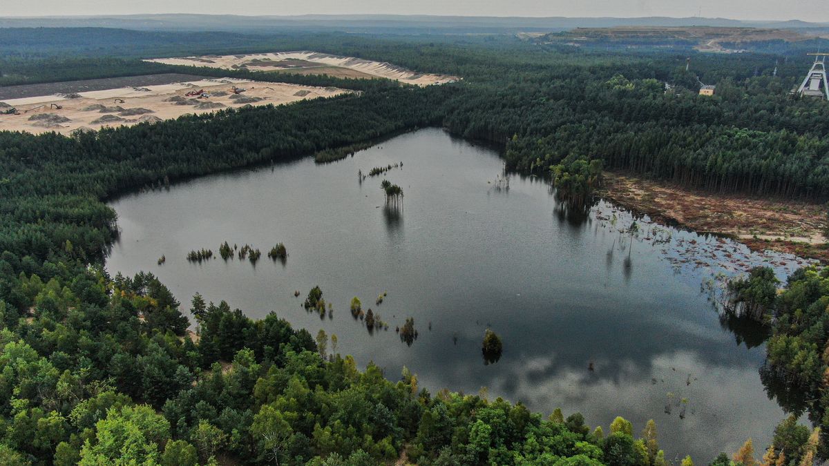 Wodą pochłania coraz większe fragmenty lasu