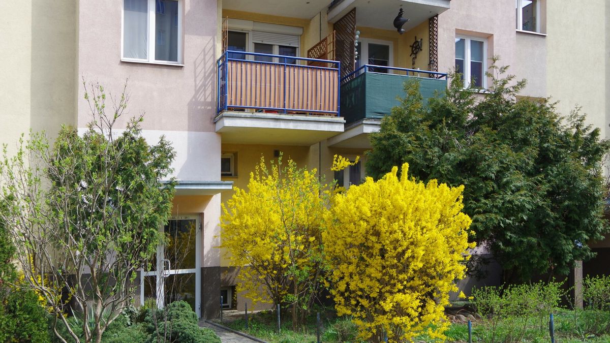 Na balkonach bloków często uprawiane są różnorodne kwiaty, zioła