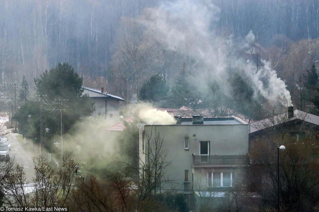 Rząd dopłaci do wymiany pieca i ocieplenia domu. "Koszty ogrzewania będą niższe"
