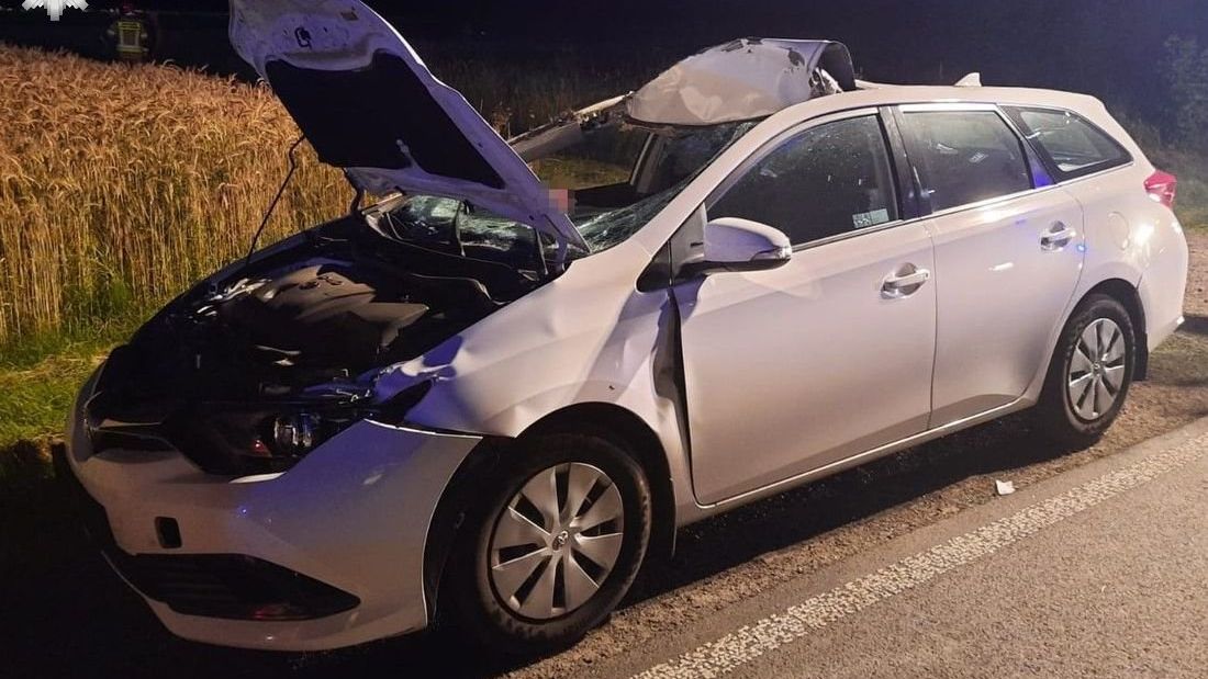 Kierowca ma obowiązek udzielić pomocy rannemu zwierzęciu - choćby poprzez wezwanie służb