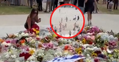 "Kompletnie nierealne. Przerażające". Pokazali nowe nagrania z Sydney