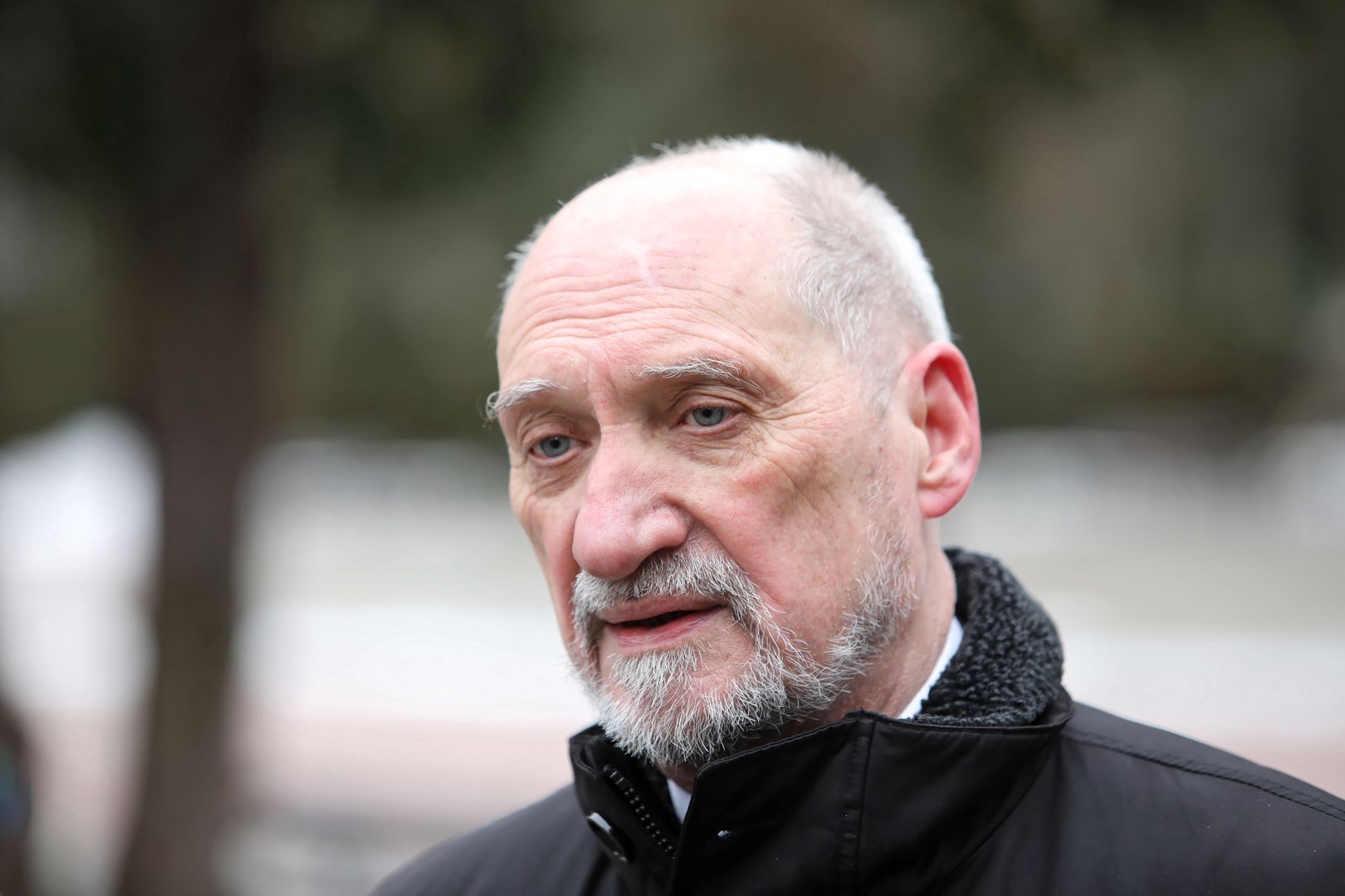 Macierewicz: Skrzydło odpadło 100 m przed uderzeniem w brzozę