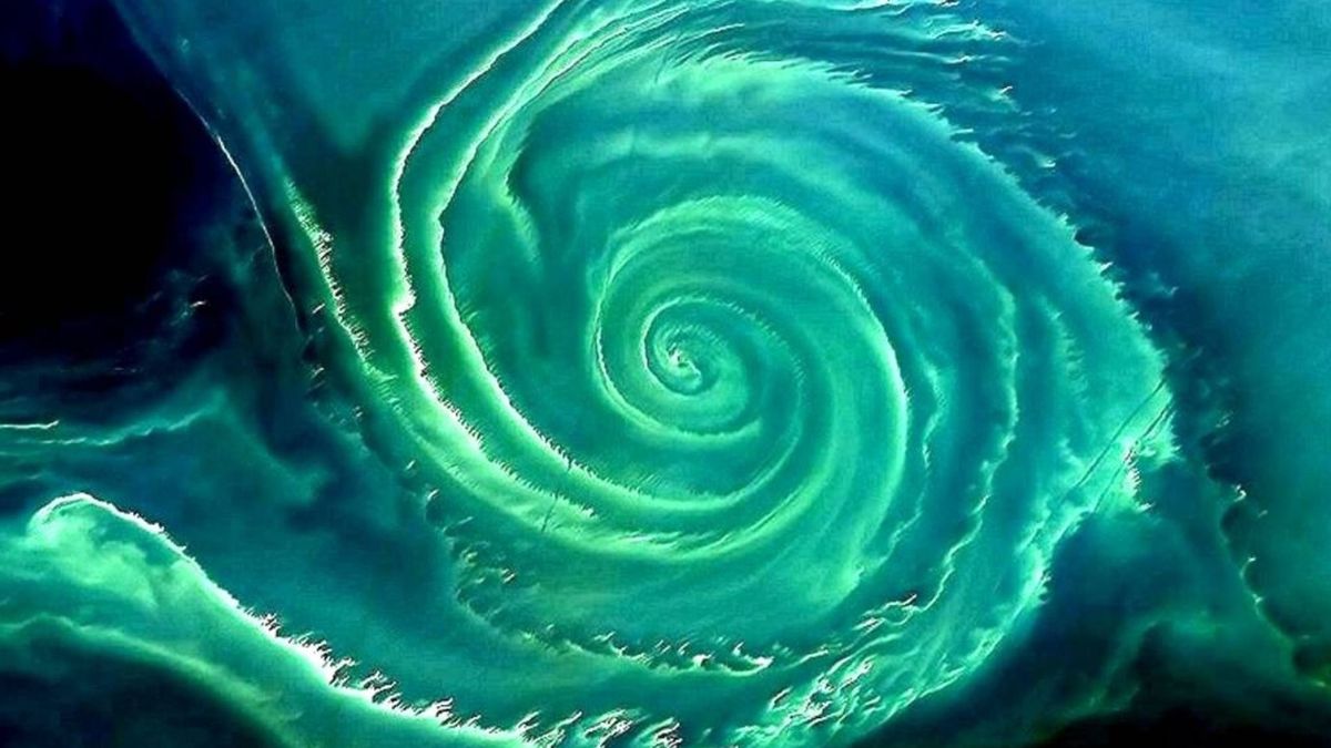 Olbrzymi zielony wir w Zatoce Gdańskiej