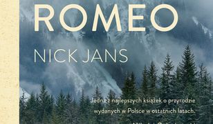 Wilk zwany Romeo