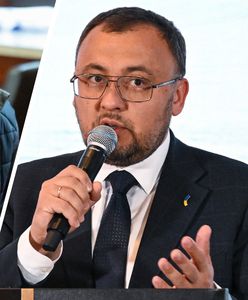 "Nie wtrącamy się". Ambasador Ukrainy zabrał głos ws. Wołodymyra Ż.