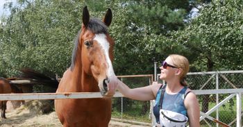 Wrocław: Przejażdżki na kucykach, alpaki i ognisko - Ranczo Yellowstone w Lesie Osobowickim przyciągnęło rodziny na wielkie otwarcie