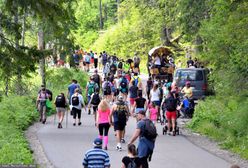 Nad Morskie Oko wybrali się z małpą. Interweniowała straż parku