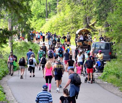Nad Morskie Oko wybrali się z małpą. Interweniowała straż parku