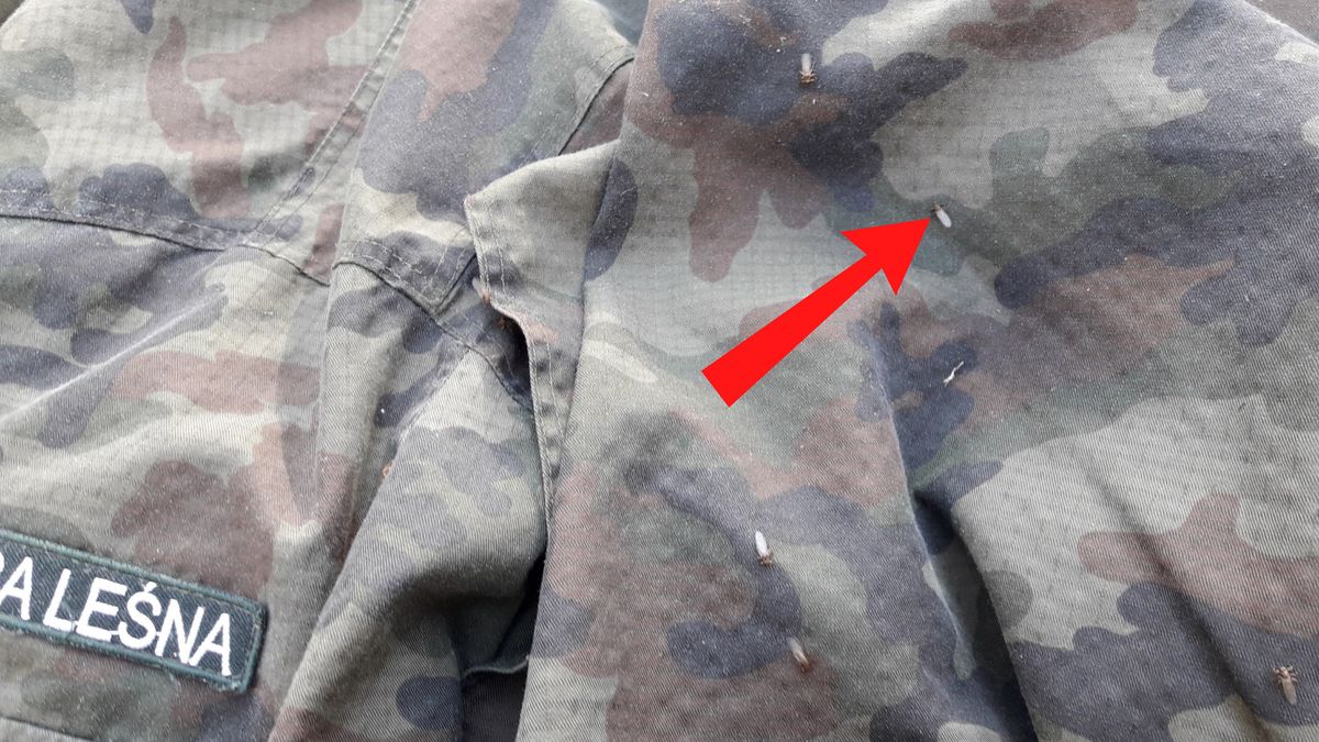 Leśnik pokazał mundur po spacerze.