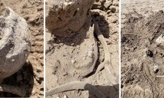 Beczka z makabryczną zawartością. Kolejne odkrycie w wysychającym jeziorze w USA