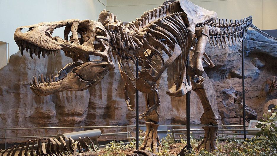 T-Rex