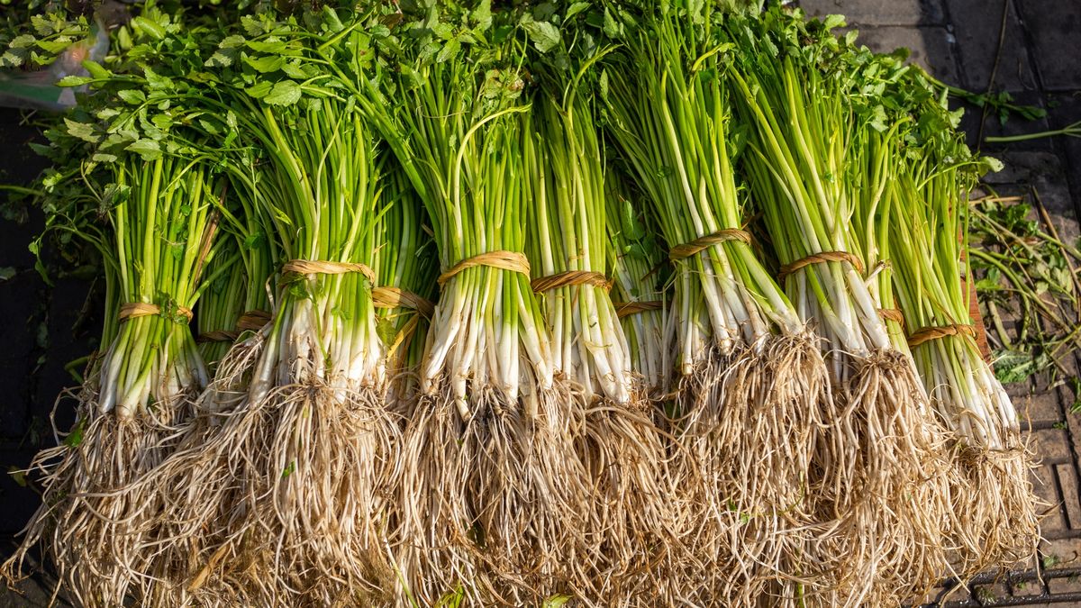 Rukiew wodna to bardzo zdrowe warzywo