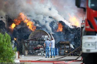 Rekordowa kara za nielegalne wysypisko w Zgierzu