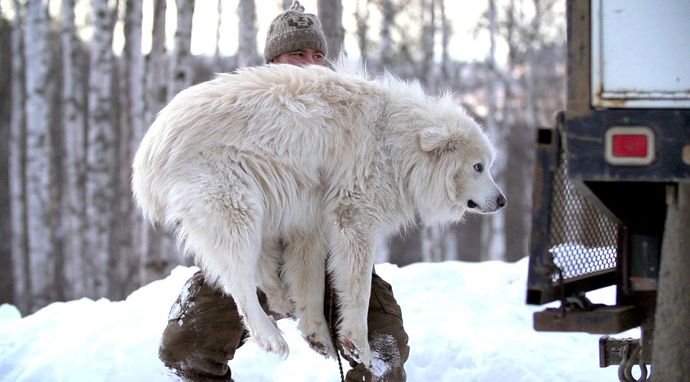 Alaska: Następne pokolenie