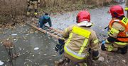 Chwila grozy w Olsztynie. Lód zaczął pękać pod 10-latkiem