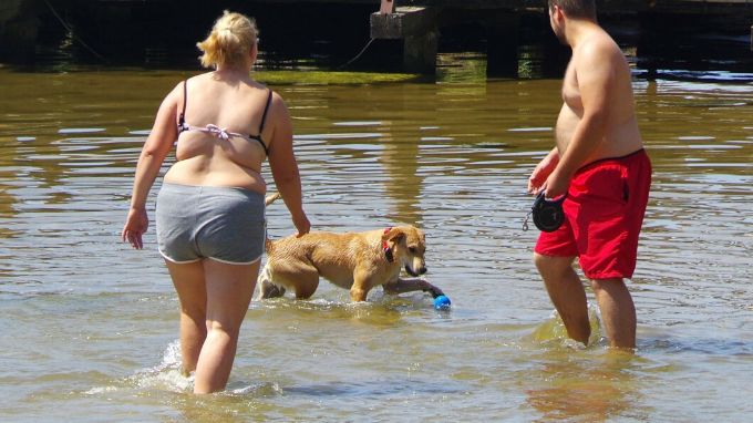 Nie tylko sinice atakują w Bałtyku. Uważaj na mięsożerne bakterie
