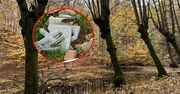 Dolina Elfów zamieniła się w wysypisko. Rajski zakątek polskiego miasta