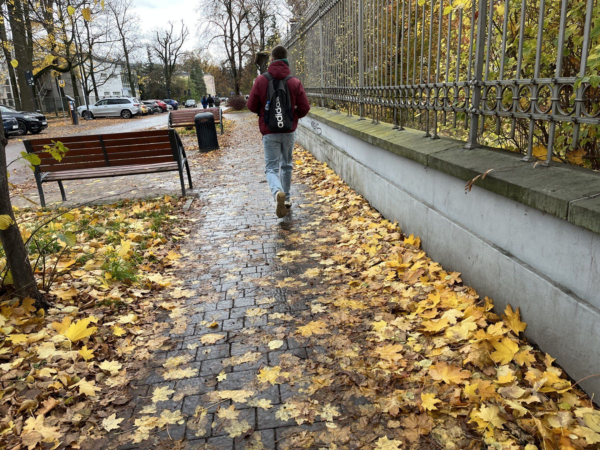 Liście na chodnikach w Łodzi