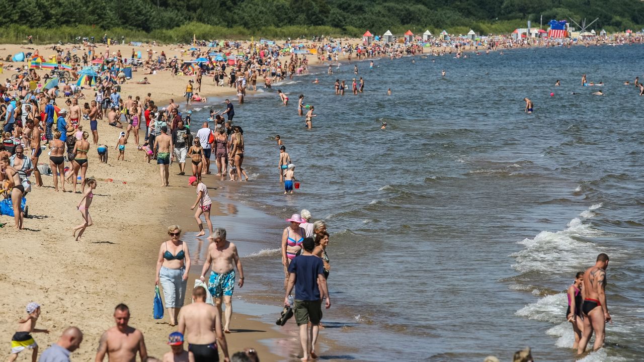 Wakacje na plaży nie takie rajskie. Oto pięć zagrożeń, które znajdują się na złotych piaskach