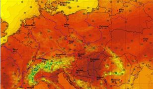 Niespodzianka w prognozach. We wrześniu będzie zwrot