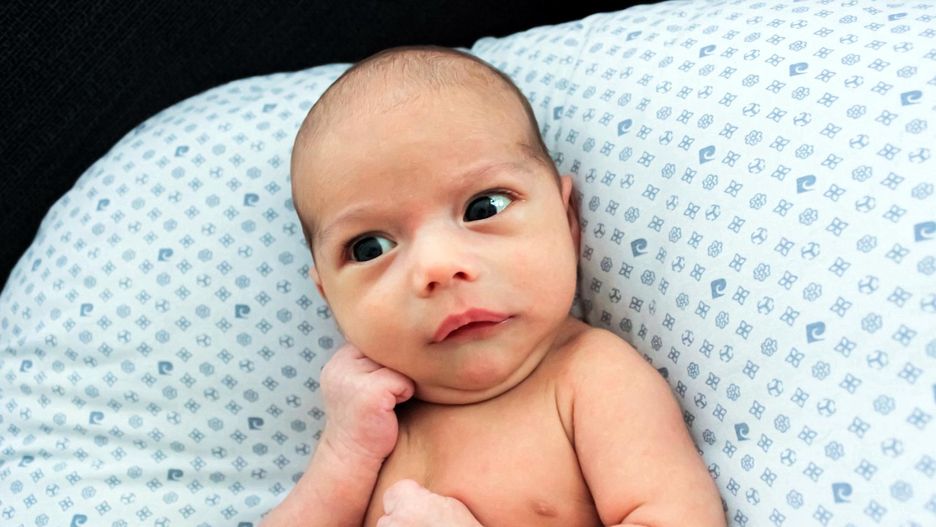 Po kim dziecko dziedziczy inteligencję? Naukowcy już to wiedzą