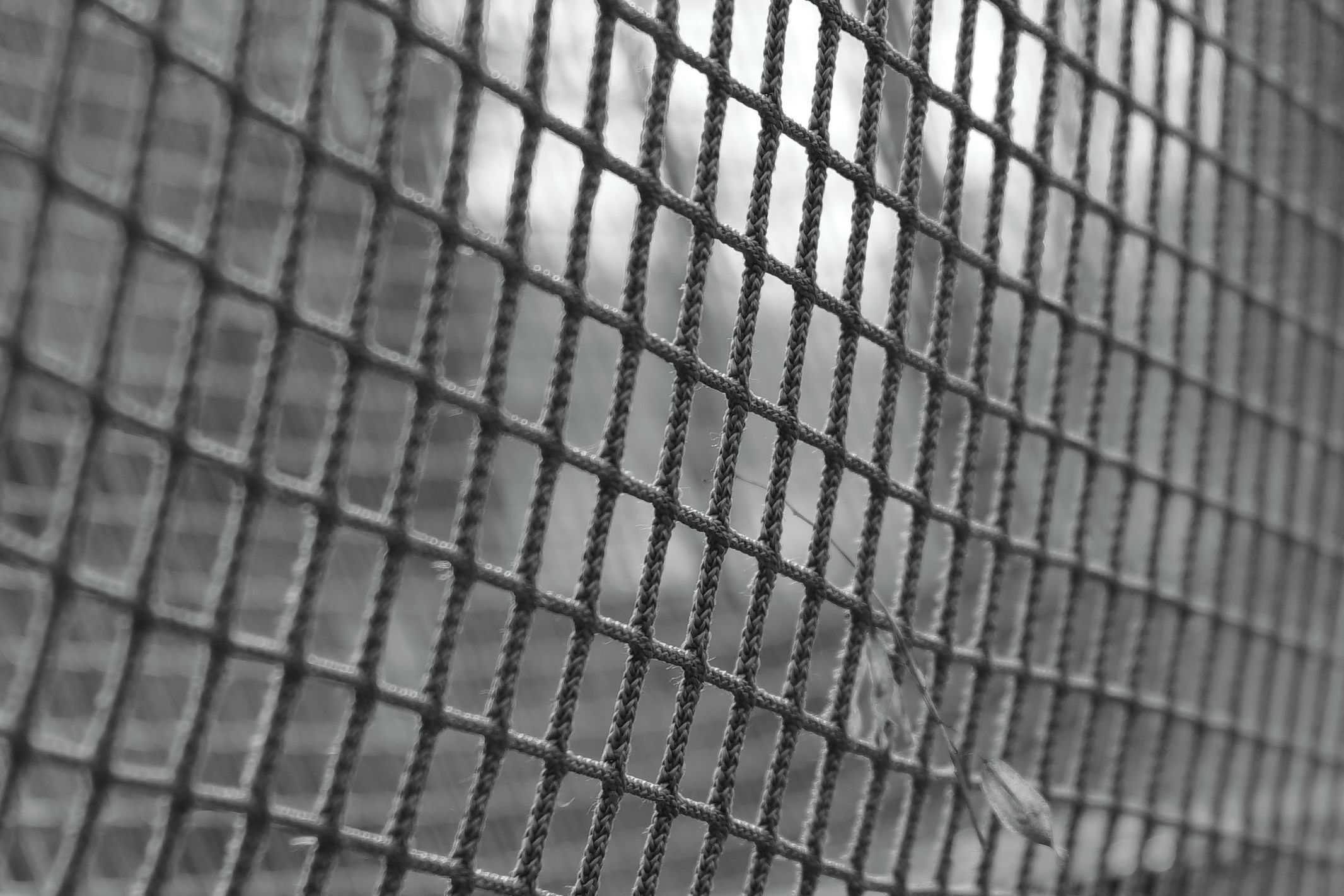 Niewielki może bardzo dużo! Voigtländer Nokton 50 mm f/1,5 19
