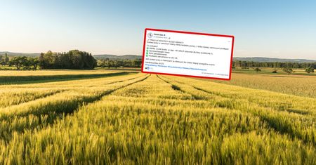 Niemcy szukają do pracy. Taka stawka. Polacy się zagotowali