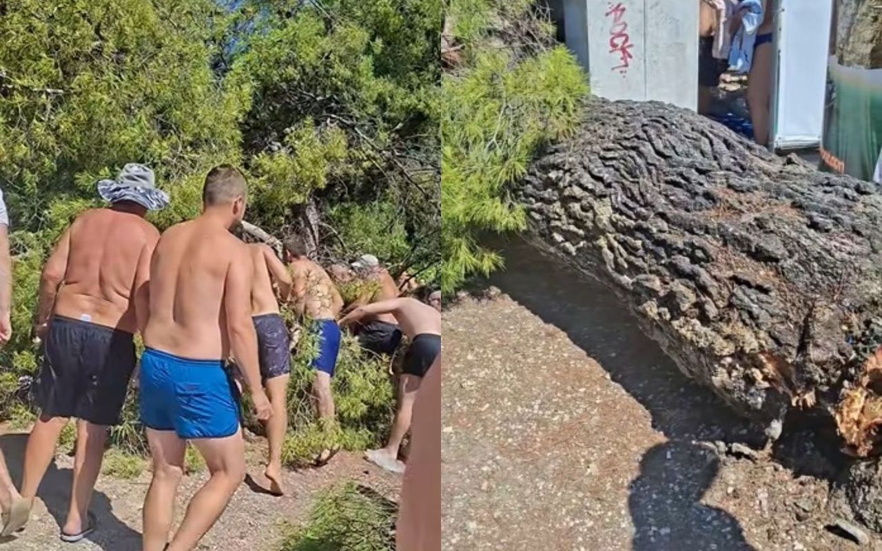 Sosna runęła na plażowiczów. Ranne dzieci. Dramat w Chorwacji