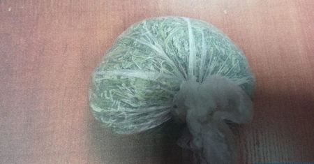 Odpowie za susz zakazany prawem