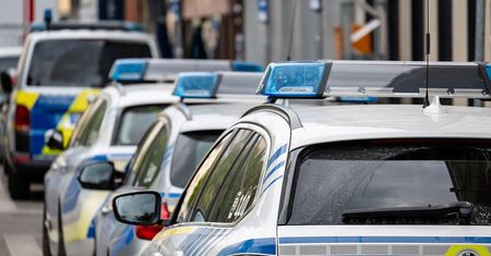 AfD chce policji deportacyjnej. Mówi o współpracy z Polską