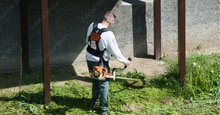 Ekspertka o koszeniu: Masakra zwierząt za pieniądze z kasy miasta
