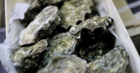 Tokio 2020. Plaga ostryg zagraża organizacji kilku dyscyplin