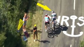 Kuriozum. Zobacz co się stało na Tour de France
