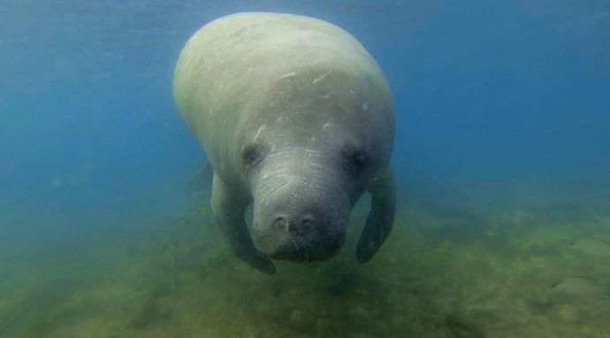 Sekrety zaklętych wód