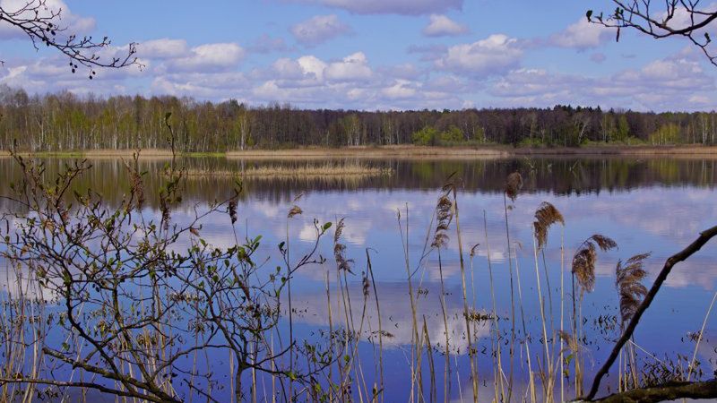 Polesie to wyjątkowe tereny wodno-bagienne