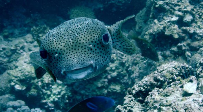 Sekrety zaklętych wód