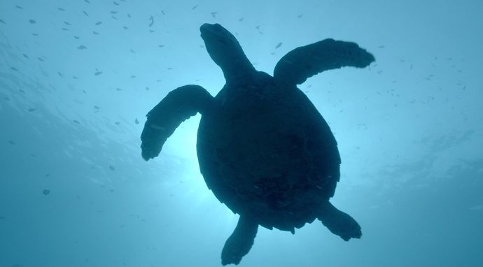 Sekrety zaklętych wód