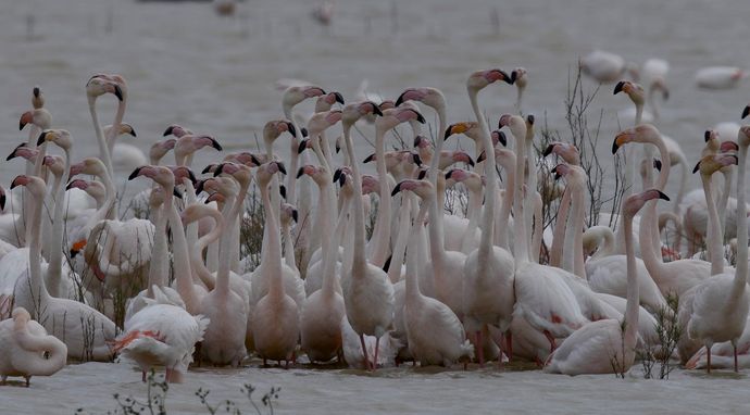 Sekrety zaklętych wód