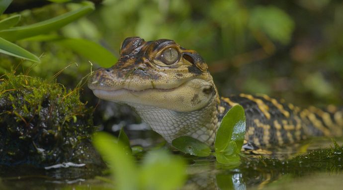 Sekrety zaklętych wód